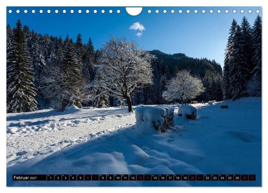 InsideView 7