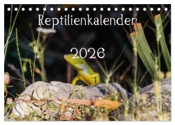 Cover-Bild zum Titel 'Reptilienkalender 2026 (Tischkalender 2026 DIN A5 quer), CALVENDO Monatskalender' von 'Fotos Michael Zill'