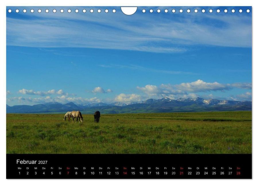 InsideView 7