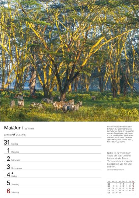 InsideView 3