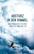 Cover-Bild zum Titel 'Absturz in den Himmel' von 'Dale Black'