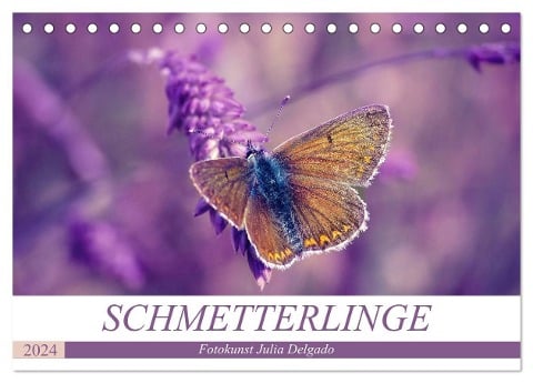 Schmetterlinge im Fokus (Tischkalender 2024 DIN A5 quer), CALVENDO Monatskalender - Julia Delgado