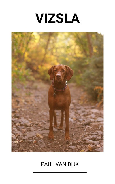 Vizsla - Paul van Dijk