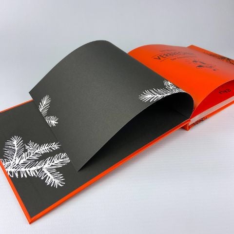 InsideView 5