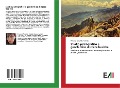 Cover-Bild zum Titel 'Studio petrografico e geochimico di rocce basiche' von 'Pinuccia Rosadele Forciniti'