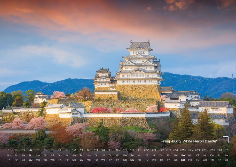 InsideView 7