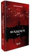 Cover-Bild zum Titel 'Bukalemun - Alaz' von 'Aslihan Doga'