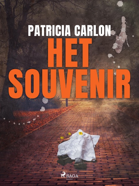 Het souvenir - Patricia Carlon