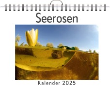 Cover-Bild zum Titel 'Seerosen' von 'Matteo Zimmermann'