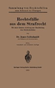 Cover-Bild zum Titel 'Rechtsfälle aus dem Strafrecht' von 'James Goldschmidt'