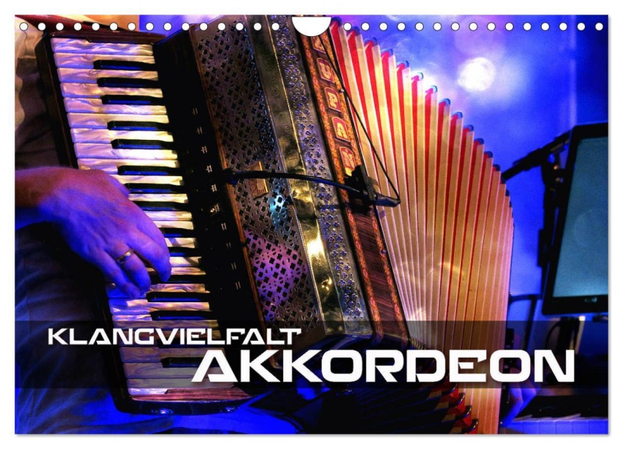 Klangvielfalt Akkordeon (Wandkalender 2026 DIN A4 quer), CALVENDO Monatskalender - Renate Bleicher