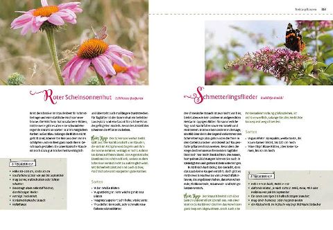 InsideView 8
