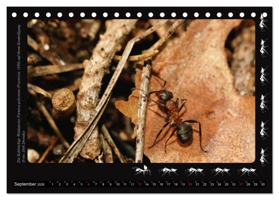 InsideView 14