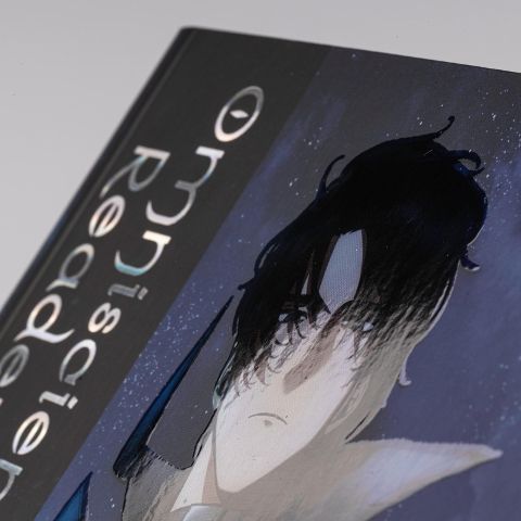 InsideView 2