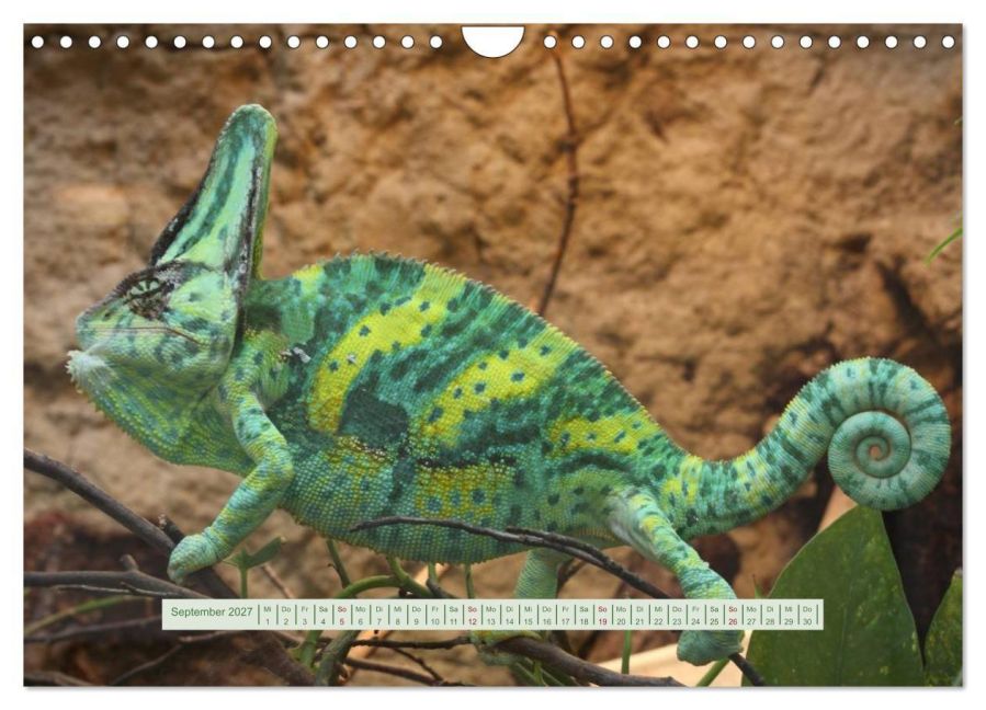 InsideView 14