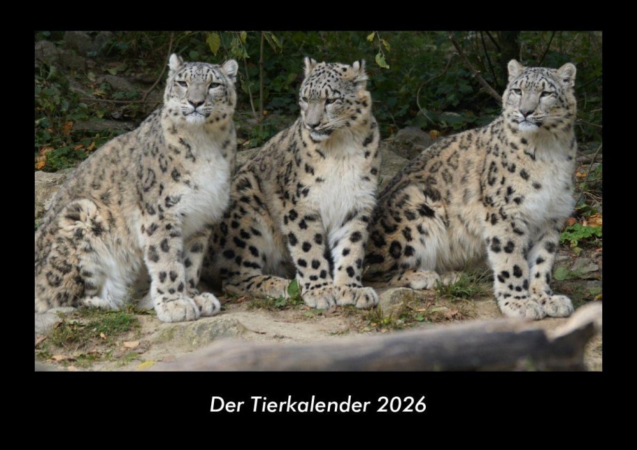 Der Tierkalender 2026 Fotokalender DIN A3 - Tobias Becker