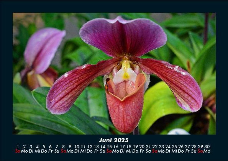 InsideView 10