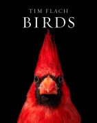 Cover-Bild zum Titel 'Birds' von 'Tim Flach'