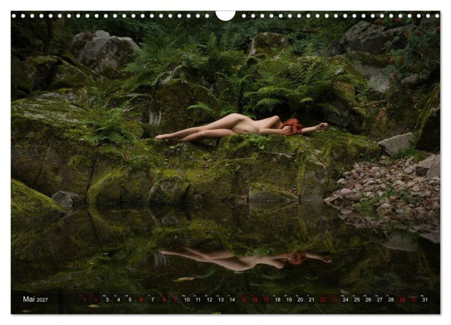 InsideView 10