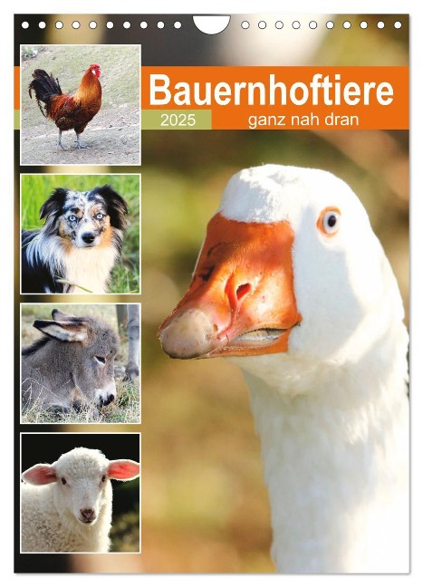 Bauernhoftiere, ganz nah dran (Wandkalender 2025 DIN A4 hoch), CALVENDO Monatskalender - 