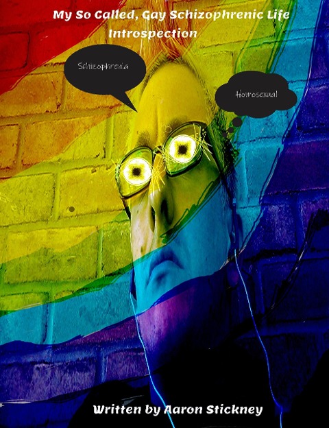 My So Called, Gay Schizophrenic Life: Introspection - Aaron Stickney