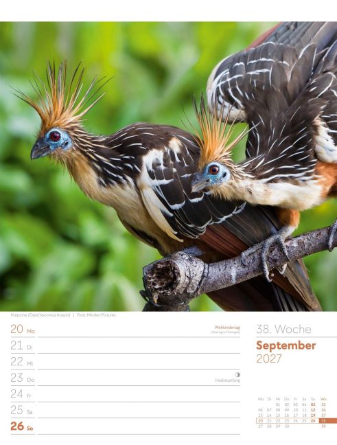 InsideView 42