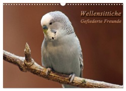 Cover-Bild zum Titel 'Wellensittiche - Gefiederte Freunde (Wandkalender 2026 DIN A3 quer), CALVENDO Monatskalender' von 'Barbara Mielewczyk'