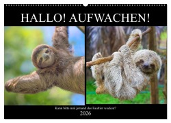 Hallo! Aufwachen! Kann bitte mal jemand das Faultier wecken? (Wandkalender 2026 DIN A2 quer), CALVENDO Monatskalender - Rose Hurley