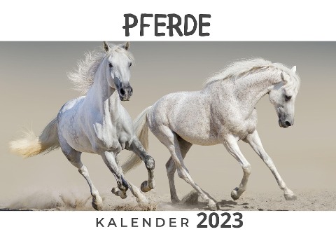 Pferde - Bibi Hübsch