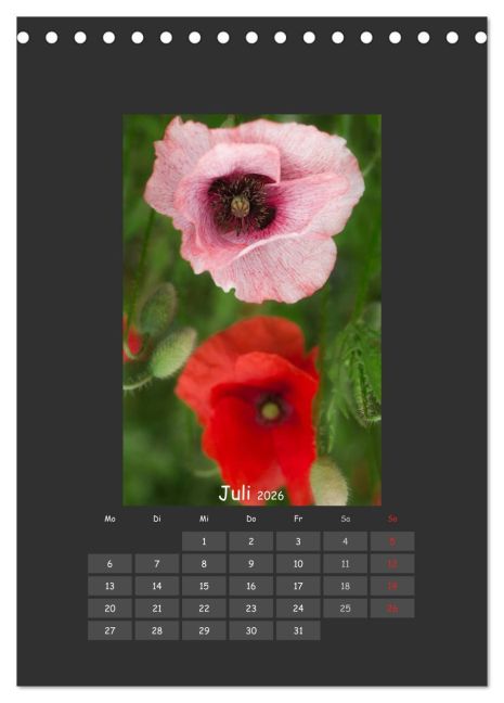 InsideView 12