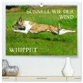 Schnell wie der Wind - Whippet (hochwertiger Premium Wandkalender 2025 DIN A2 quer), Kunstdruck in Hochglanz - Sigrid Starick