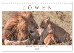 Cover-Bild zum Titel 'Löwen - Raubkatzen Afrikas (Wandkalender 2026 DIN A4 quer), CALVENDO Monatskalender' von 'Andreas Lippmann'