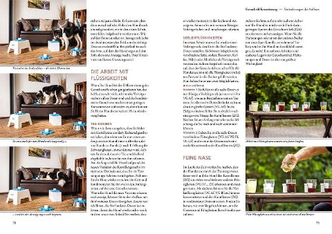 InsideView 5