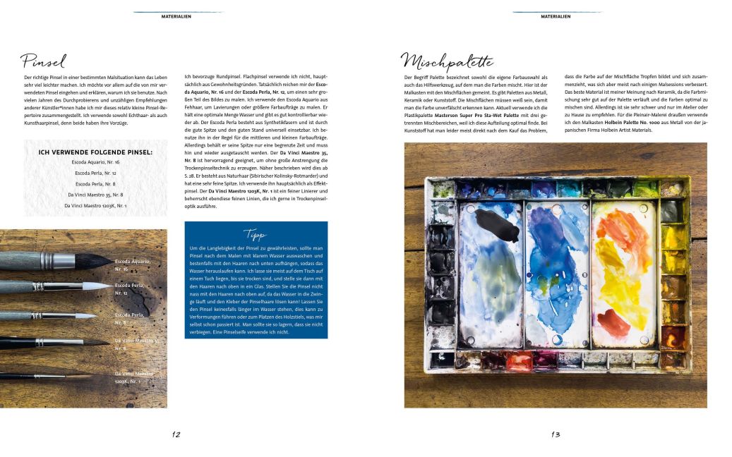 InsideView 6