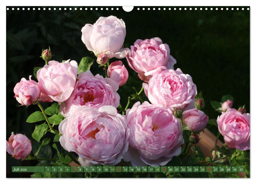 InsideView 12