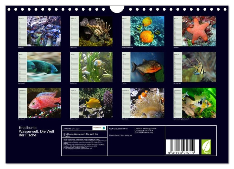 InsideView 5
