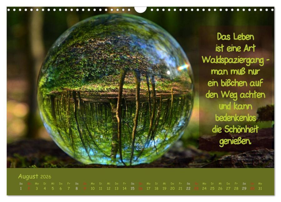 InsideView 13