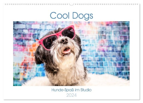 Cool Dogs - Hunde-Spaß im Studio (Wandkalender 2024 DIN A2 quer), CALVENDO Monatskalender - Sonja Teßen