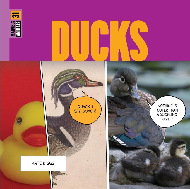 Ducks - Kate Riggs