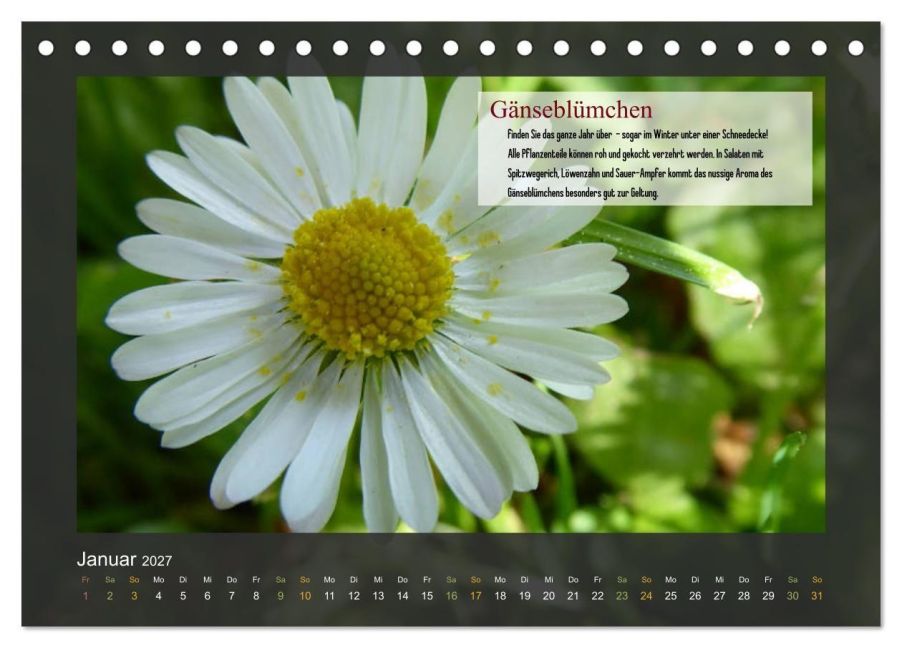 InsideView 6