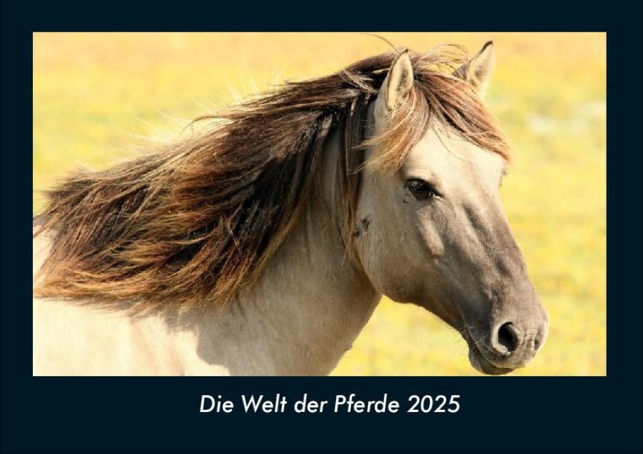 Die Welt der Pferde 2025 Fotokalender DIN A4 - Tobias Becker