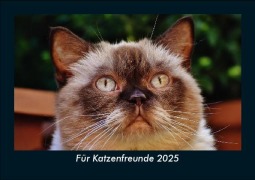 Cover-Bild zum Titel 'Für Katzenfreunde 2025 Fotokalender DIN A5' von 'Tobias Becker'