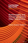 Cover-Bild zum Titel 'Multimodality and Translanguaging in Video Interactions' von 'Maria Grazia Sindoni'