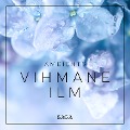 Cover-Bild zum Titel 'Ambients - Vihmane ilm' von 'Rasmus Broe'
