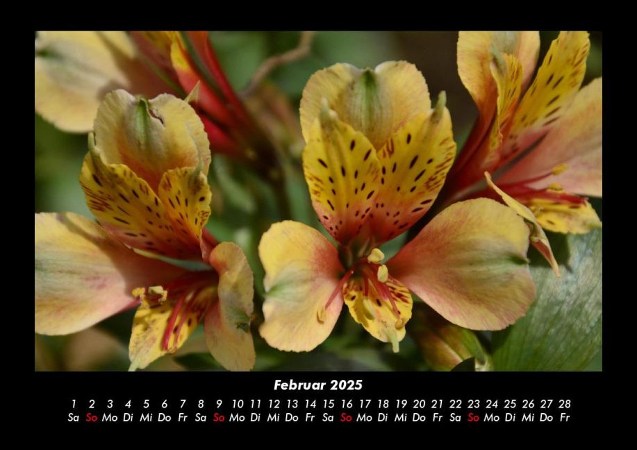 InsideView 6