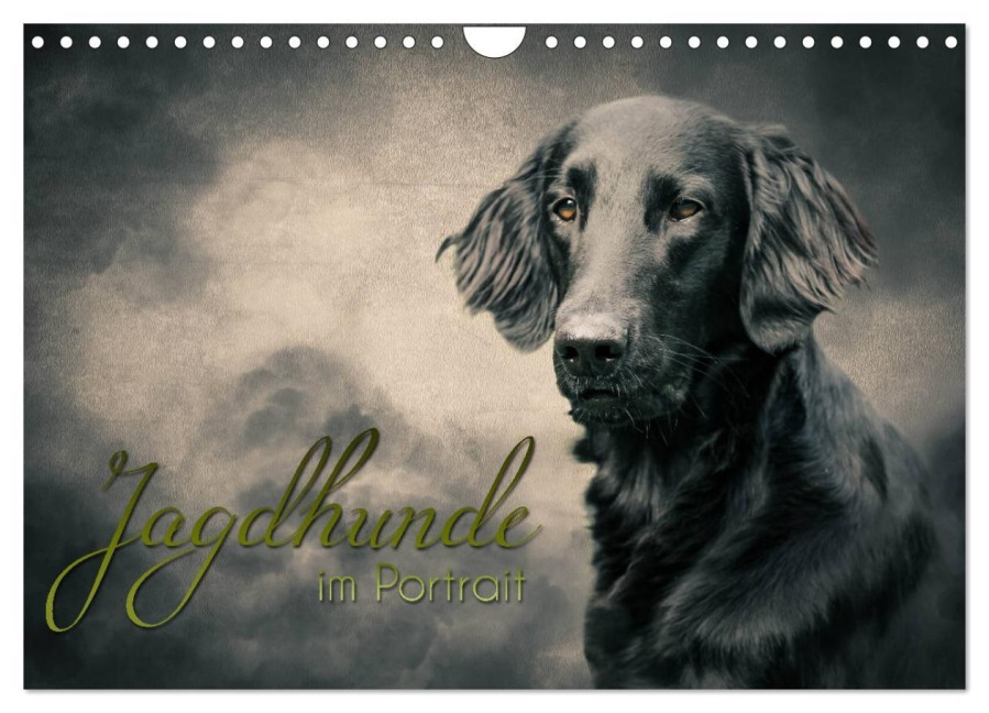 Jagdhunde im Portrait (Wandkalender 2026 DIN A4 quer), CALVENDO Monatskalender - Alexandra Hollstein