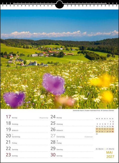 InsideView 11