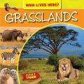 Cover-Bild zum Titel 'Grasslands' von 'Mary-Jane Wilkins'