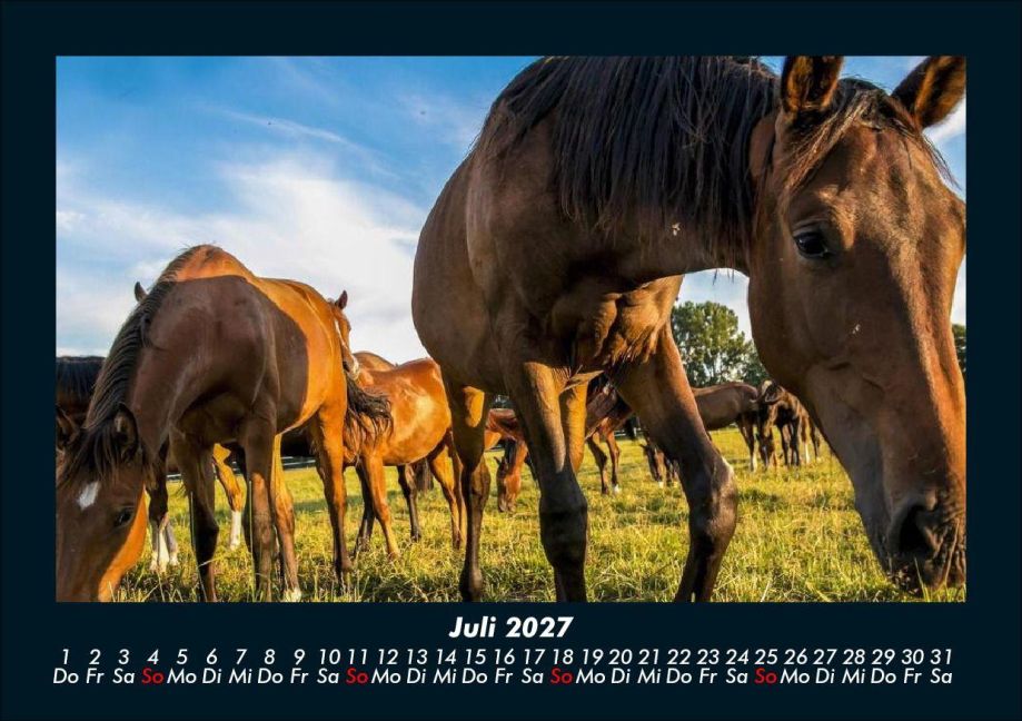 InsideView 11