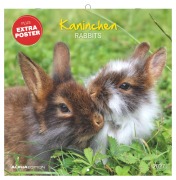 Cover-Bild zum Titel 'Kaninchen 2027' von ''